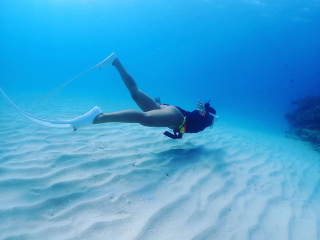 �S�����`���b�v�X�L���_�C�r���O_Marine Shop Twins