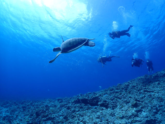 ���[���t�@���_�C�r���O_Marine Shop Twins