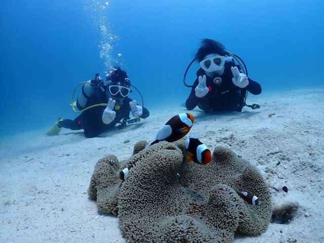 ���[���t�@���_�C�r���O_Marine Shop Twins