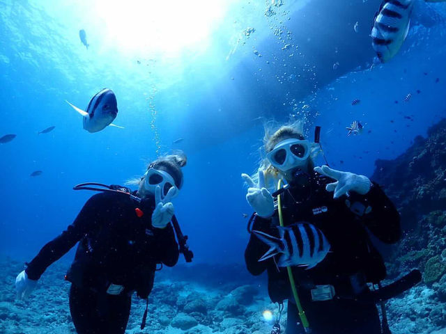 �S�����`���b�v�̌��_�C�r���O_Marine Shop Twins