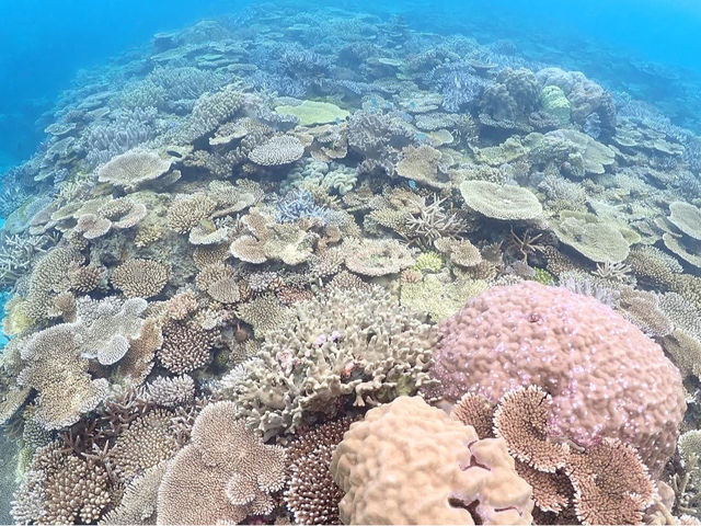 �S�����`���b�v_Marine Shop Twins