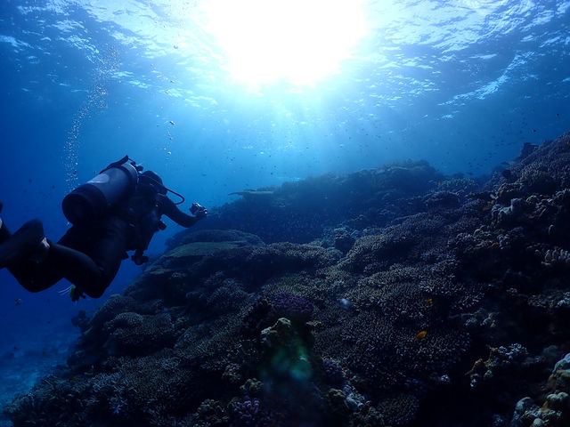 ���[��_Marine Shop Twins