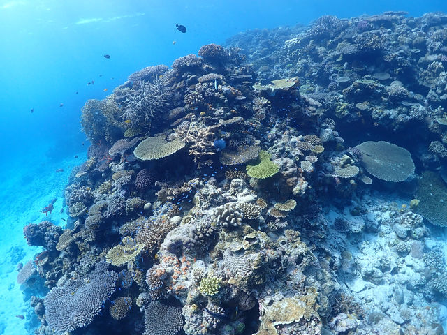 ���[��_Marine Shop Twins