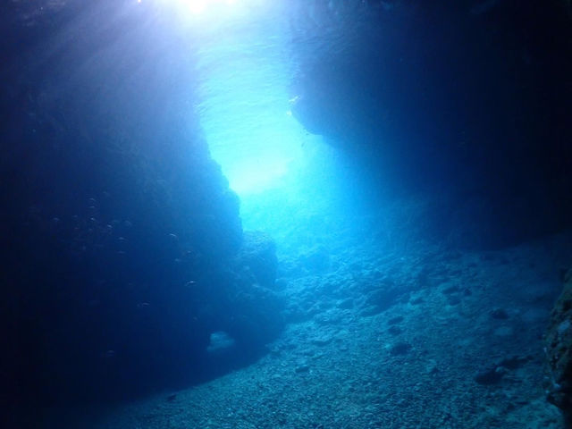 �̓��A_Marine Shop Twins