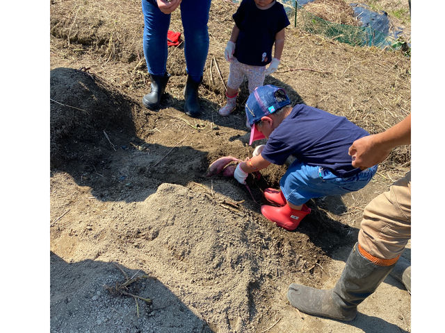 ���킹�ނ����_��