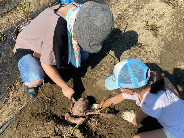 ���킹�ނ����_��