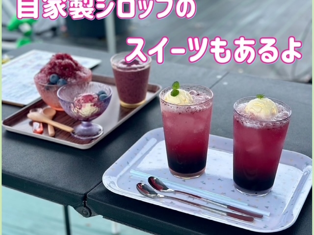 ���Ɛ��V���b�v�̃X�C�[�c_�|�P�b�g����̃u���[�x���[�_��