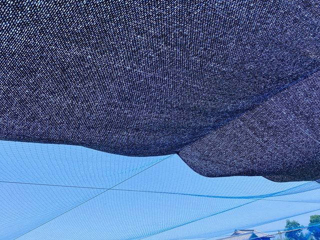 ���A����܂�_�|�P�b�g����̃u���[�x���[�_��