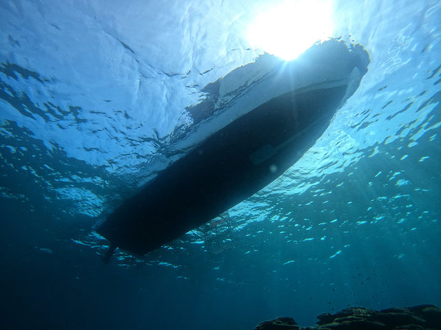 �����x���ǂ����ɂ�30m over
�t��͑���܂��̂ŗ\�߂���������������_OG DIVE SERVICE