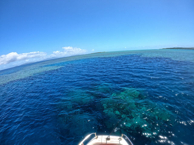 �T���S�Ɉ͂܂ꂽ���Ȃ�ł͂̌i��_OG DIVE SERVICE