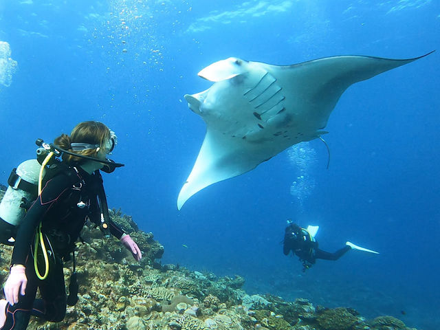 �^���ǂ���΂�����S�ʂɌ����Ă����q�����܂�_OG DIVE SERVICE