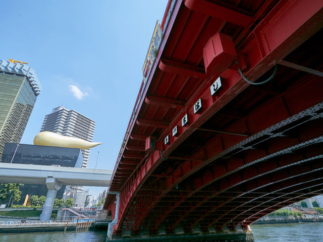 ���`�D�@���{