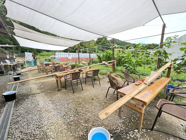 �����߂񗬂��u�[�X�i7���[���j_�����쎩�R�̌��t�@�[��