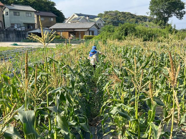 �Ƃ����낱�����Œ����i���ԁA�������ݏoOK�j_�����쎩�R�̌��t�@�[��