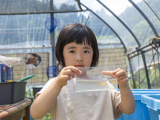 ���_�J�n�E�X�Ŏ��R����_�����쎩�R�̌��t�@�[��