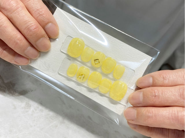 �A���S�i�C�g�̃`�b�v���ł��܂���_Hollynail healingsalon