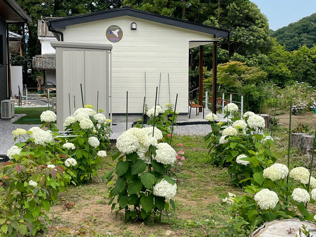 �A�i�x������������}���Ă��܂�_�������u���[�x���[��