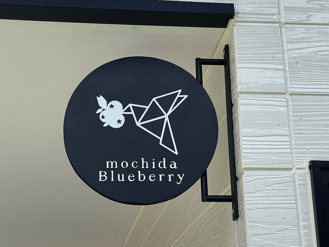 �[���Ŕ�_�������u���[�x���[��