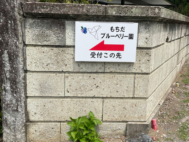 �����Ŕ�_�������u���[�x���[��