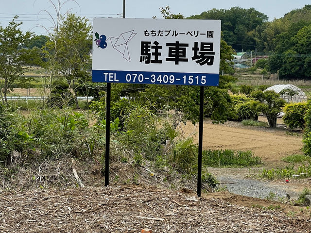 ���ԏ�̊Ŕ�_�������u���[�x���[��