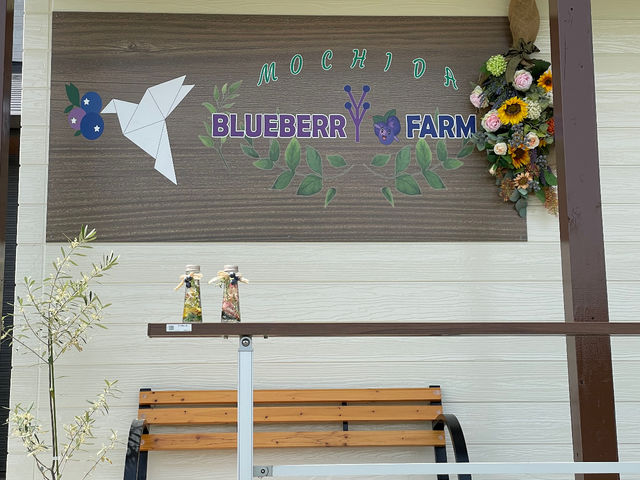 ������ŋL�O�ʐ^�������ł����H_�������u���[�x���[��