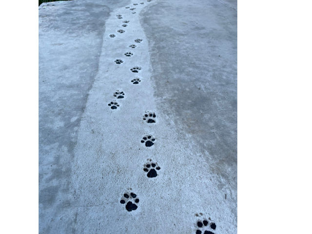 ���̑�����_�������u���[�x���[��