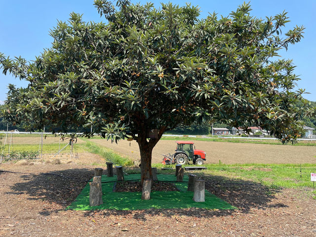 �؉A�łЂƋx��_�������u���[�x���[��