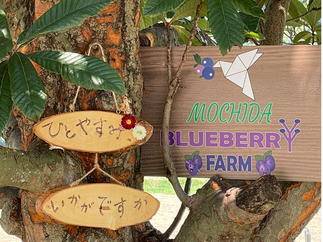 �т�̖؉A�łЂƋx��_�������u���[�x���[��