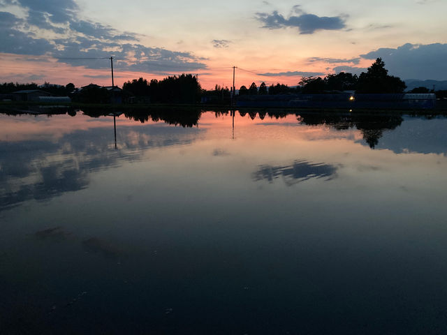 �ɂ����u���[�x���[��