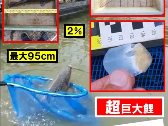 [ryҗpz1000CrI܂ɒނrI_xE씨R463