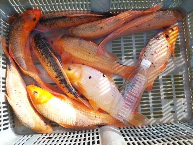 y܁zr[rŐԂނƊʃW[Xƌł܂I_xE씨R463