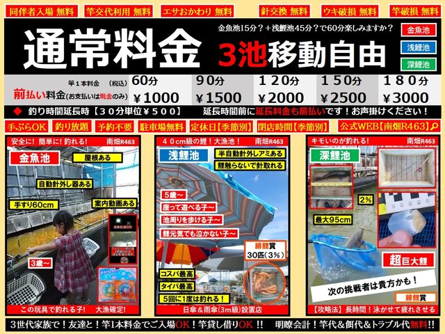 ��x�E�씨R463�̎ʐ^1