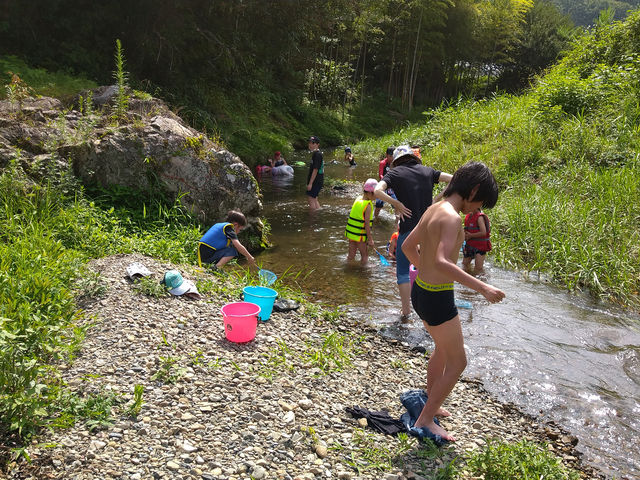 ���h�߂��̏���ŉj���̌��B
�̌����́A�����B_���h �Ė؏���