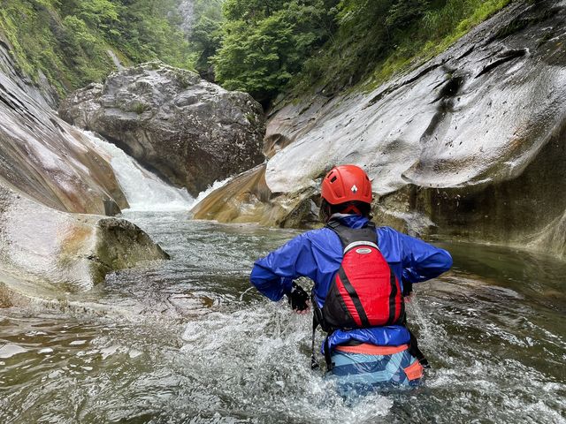 �Ă̓��͓��k�J�c�A�[��o��B_���h �Ė؏���