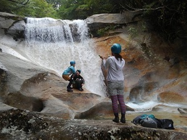 �t�̓��͓��k�J�c�A�[�ω������o��B_���h �Ė؏���