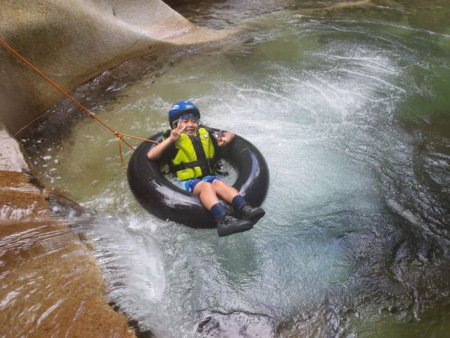 �Ă̓��͓��k�J�c�A�[�򊊂�B_���h �Ė؏���