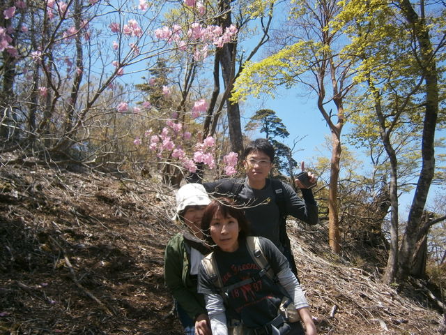 �t�̉Ė؎R�A�P�{�m�c�c�W�Ϗܓo�R�B_���h �Ė؏���