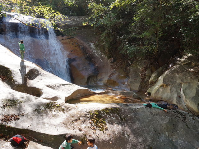 �H�̓��͓��k�J�c�A�[�Ԃ������o��B_���h �Ė؏���