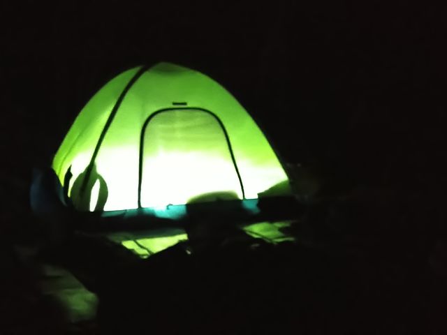 ���͓��k�J�c�A�[��c�Ɛ���E�w�b�h���C�gUP�̌��B_���h �Ė؏���