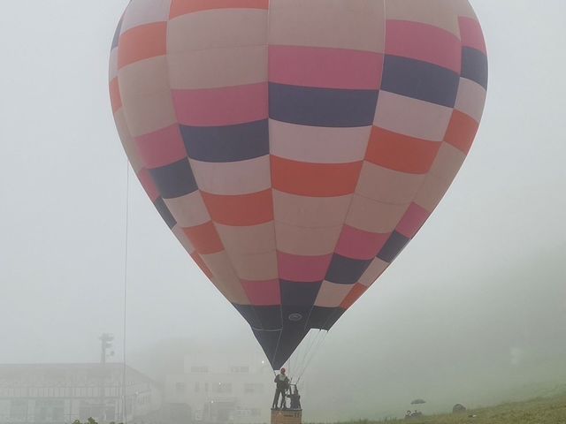 �Z���ł��^�s����ꍇ������܂��I
�i�F�͈�؂݂��܂��񂪁A���z�I�ł��I_mate