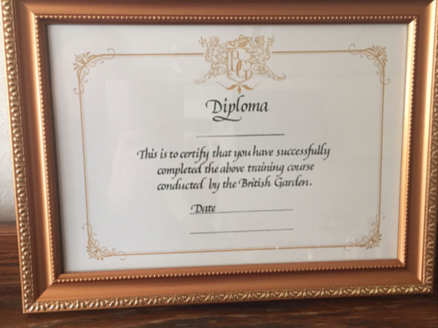 �[���w�т������͖{�R�[�X�ցB�v���{���R�[�X���Ƃ̃f�B�v���}�B�e�B�[�e�[�u���R�[�f�B�l�[�^�[�Ƃ��Ċ���̖����I_�u���e�B�b�V���K�[�f���X�N�[��