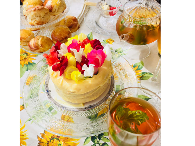 �u���e�B�b�V���K�[�f���X�N�[��