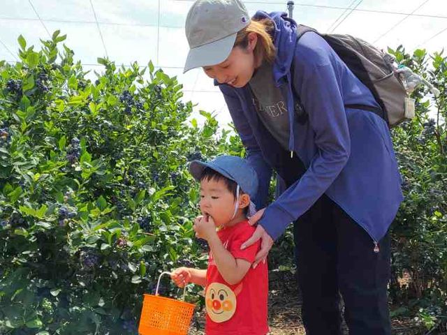 �u���[�x���[���_�L���Ȏ���_�� �u���[�x���[lov.