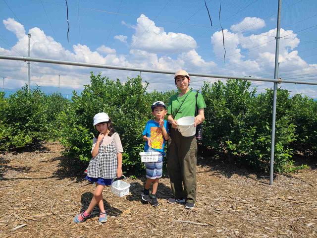 �u���[�x���[���_�L���Ȏ���_�� �u���[�x���[lov.