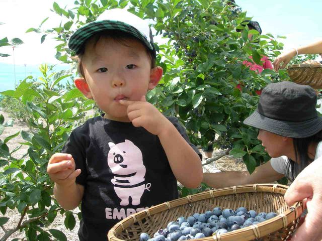 �u���[�x���[���_�L���Ȏ���_�� �u���[�x���[lov.