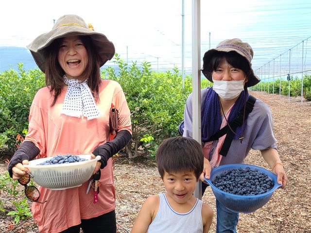 �u���[�x���[���_�L���Ȏ���_�� �u���[�x���[lov.