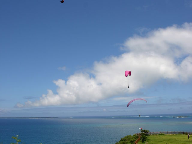 ����t���C�g_�����X�J�C�p�[�N �p���O���C�_�[�X�N�[��