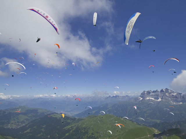 �C�O�̑��̌Q��H_�����X�J�C�p�[�N �p���O���C�_�[�X�N�[��