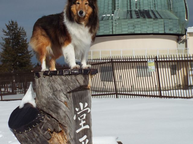 �����������R876���̎R���������B�֓���̒��]�X�|�b�g�ł��B�����F�ɋP���[���͑f���炵���ł��B_�����X�J�C�p�[�N �p���O���C�_�[�X�N�[��