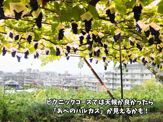 �����炵�͗ǂ��ƂĂ�
�S�n���ł���_�����_��(�����s�ό��Ԃǂ��Z���^�[�������x��)